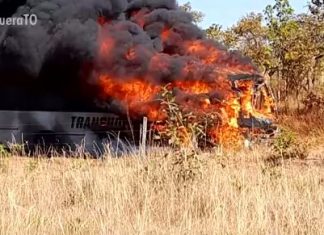 Vídeo mostra ônibus pegando fogo após problema mecânico no TO; bagagens foram destruídas