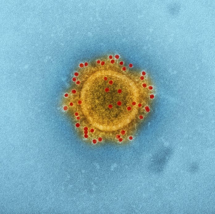 coronavirus