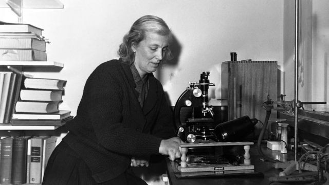 a-vencedora-do-premio-nobel-crowfoot-hodgkin-1910-1994-usou-seu-interesse-em-mosaicos-bizantinos-em-pesquisas-na-area-bioquimica
