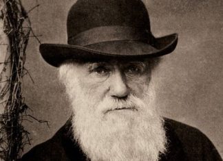 A visão de Charles Darwin sobre os escravizados no Brasil: ‘Serão, no fim das contas, os governantes’