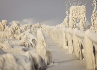 Passarela vira escultura de gelo em meio a tempestade de inverno nos EUA; FOTOS