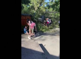 VÍDEO: Galho de árvore cai e deixa duas pessoas feridas em parque na Argentina