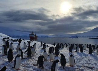 Como é passar o Natal na Antártica