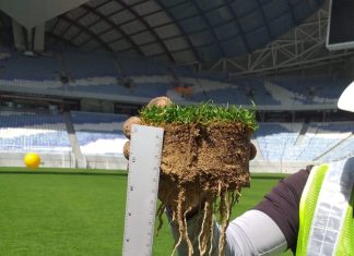Grama da Copa do Mundo tem toque brasileiro e é regada com água do mar; entenda