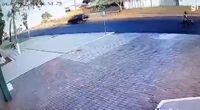 atropelamento