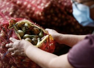 O país onde a cebola é mais cara que a carne