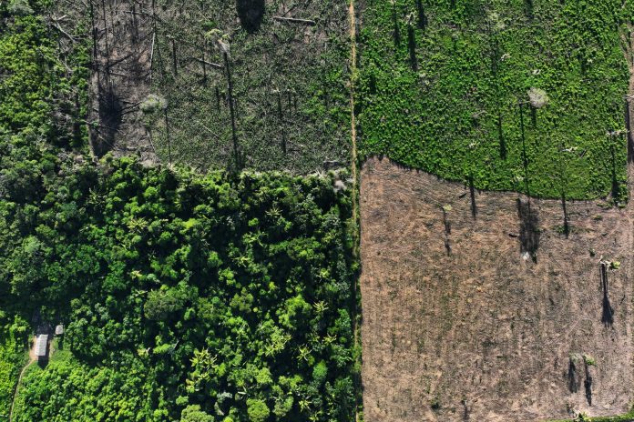 2023-01-20t024203z-56720984-rc2tty95dmys-rtrmadp-3-brazil-environment-scaled