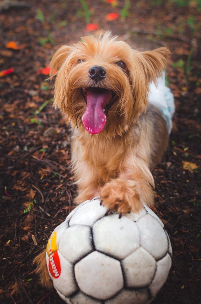 partiu-fute-de-elliot-jouan-scaled