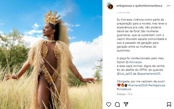 capim-dourado-