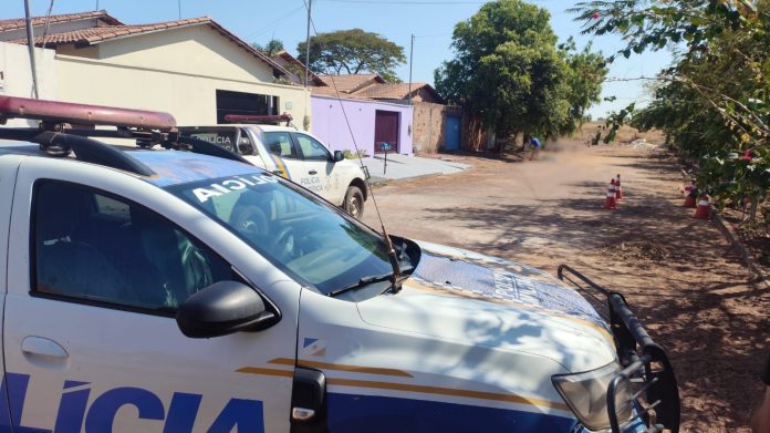 whatsapp-image-2024-08-12-at-18.09.02-1