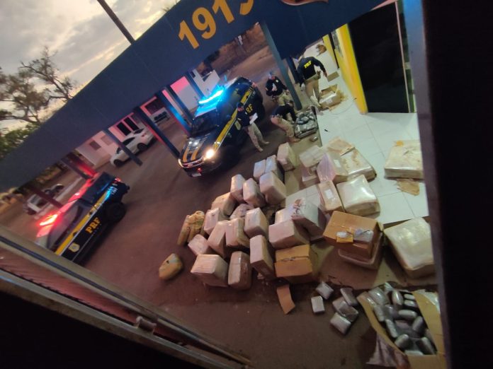 whatsapp-image-2024-08-13-at-19.50.45