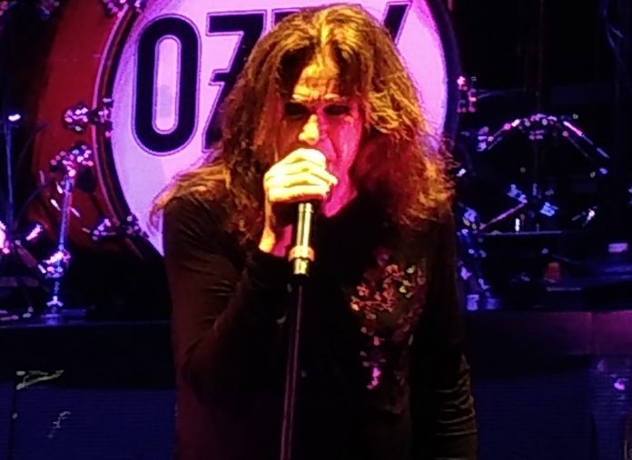 ozzy-scaled