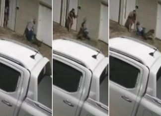 Idoso gravemente ferido em ataque de pitbull voltava de comemoração de Natal: ‘Não conseguiu correr’, diz neta