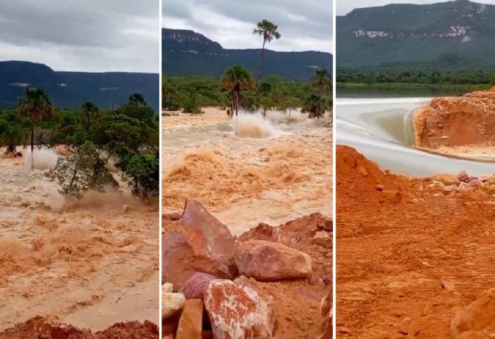 modelo-foto-fundo-borrado-31-3