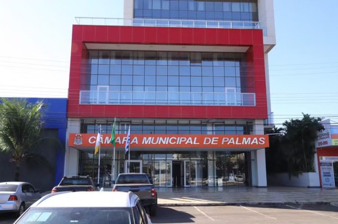 camara-palmas