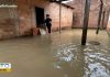 Temporal faz córrego transbordar e alaga casas em Gurupi