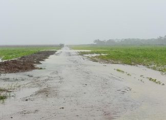 Quando o clima muda no campo, o reflexo chega à mesa dos tocantinenses