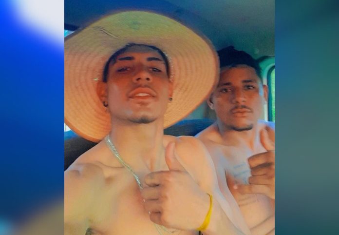 irmaos