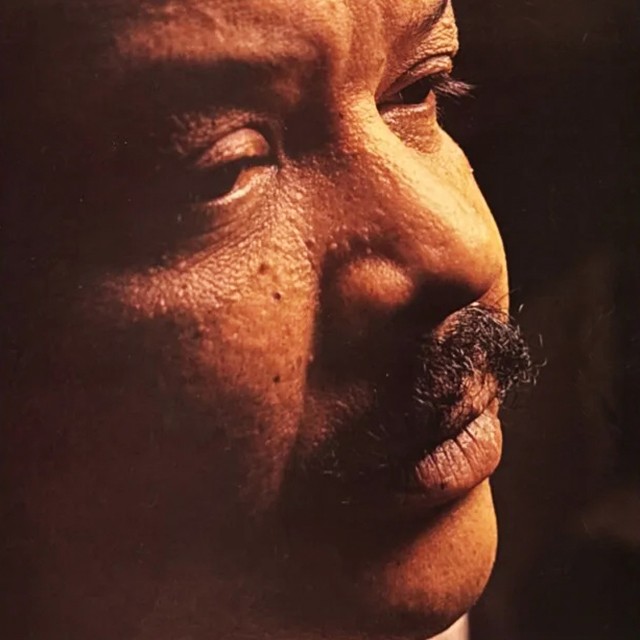 timmaia1983