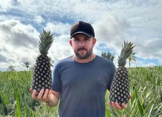Quem é o produtor de abacaxi que teve a morte encomendada por fazendeiro rival no TO, segundo a PC