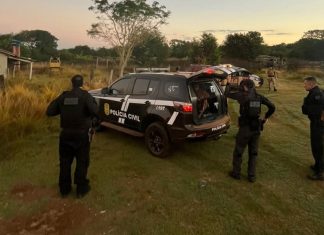 Grupo suspeito de furtar gado e levar para leilões é alvo de operação da Polícia Civil