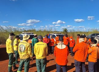 Agentes da Defesa Civil de Palmas passam por treinamento sobre uso controlado do fogo; entenda