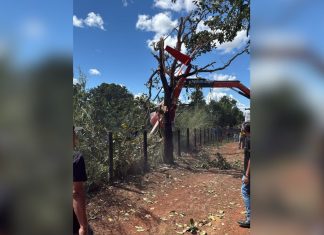 Saiba qual é o modelo e quanto vale o helicóptero de Henrique e Juliano que caiu em fazenda no Tocantins