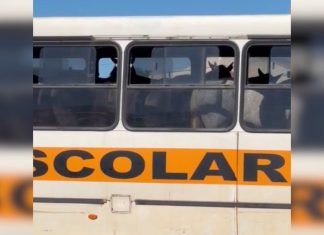 Cavalos são transportados dentro de ônibus e vídeo repercute nas redes sociais