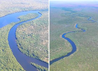 Imagens de drone mostram a beleza dos rios que cortam a maior ilha fluvial de água doce do mundo