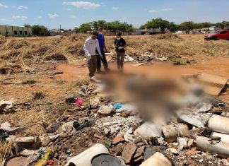 Corpo esquartejado é encontrado dentro de sacos em área verde na região sul de Palmas