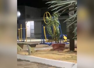 Equipamento de academia se move sozinho em praça do TO e intriga internautas; VÍDEO